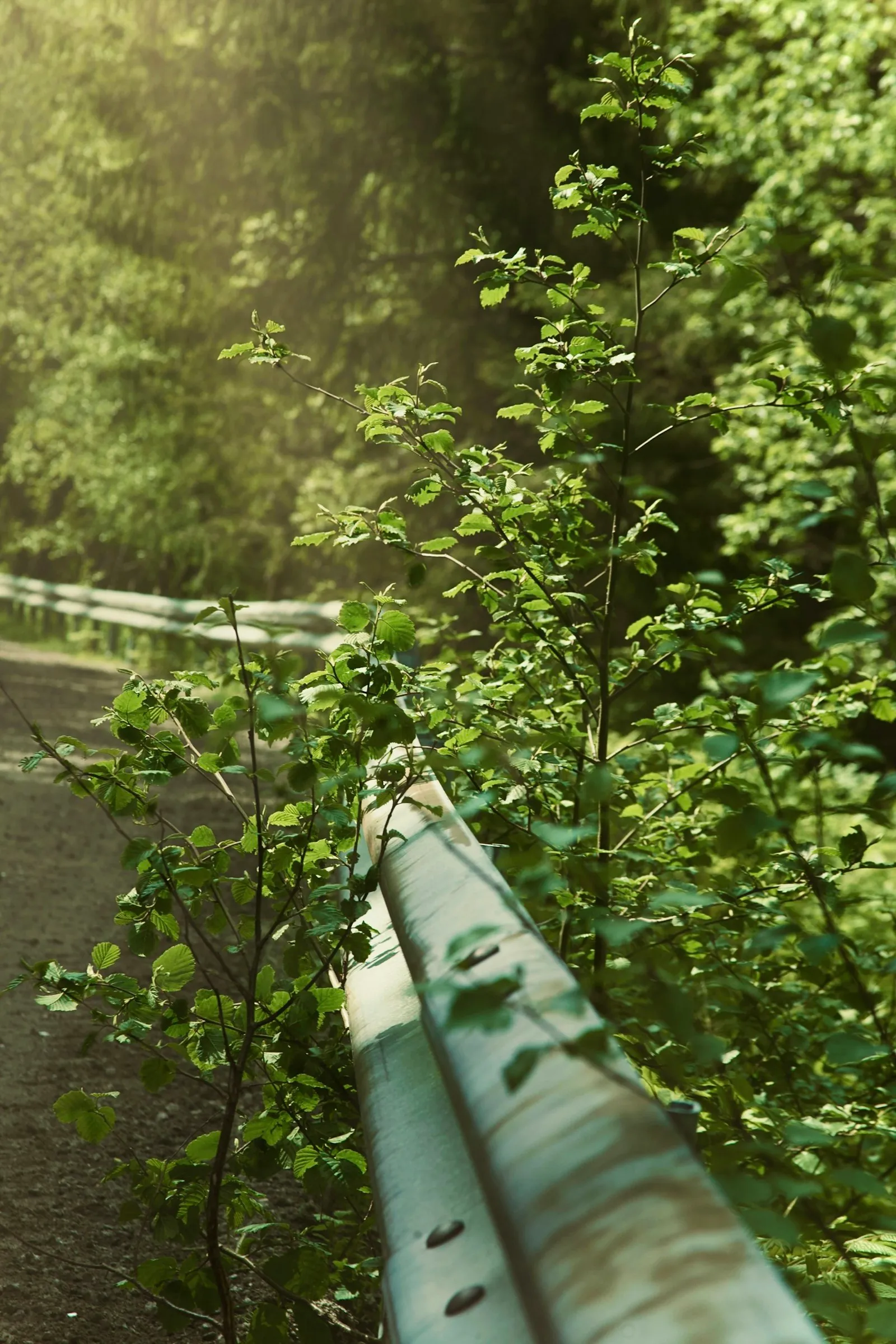 Fable's Guardrails Are Blocking the Security Researchers Who Want to Use It